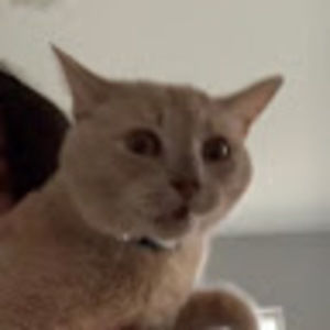 Meet your Posher, Avery